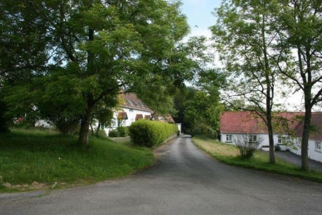 Bramble Cottage - Sleeps 5 With Free Wifi Cardigan Exteriér fotografie